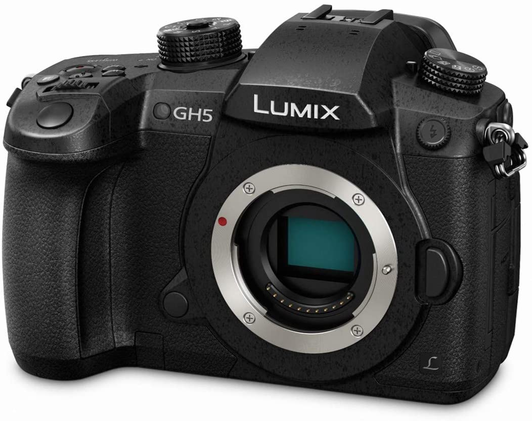 Cameras with Flip Screen - Panasonic LUMIX GH5