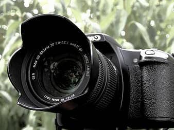 Canon 90D vs. 80D - autofocus