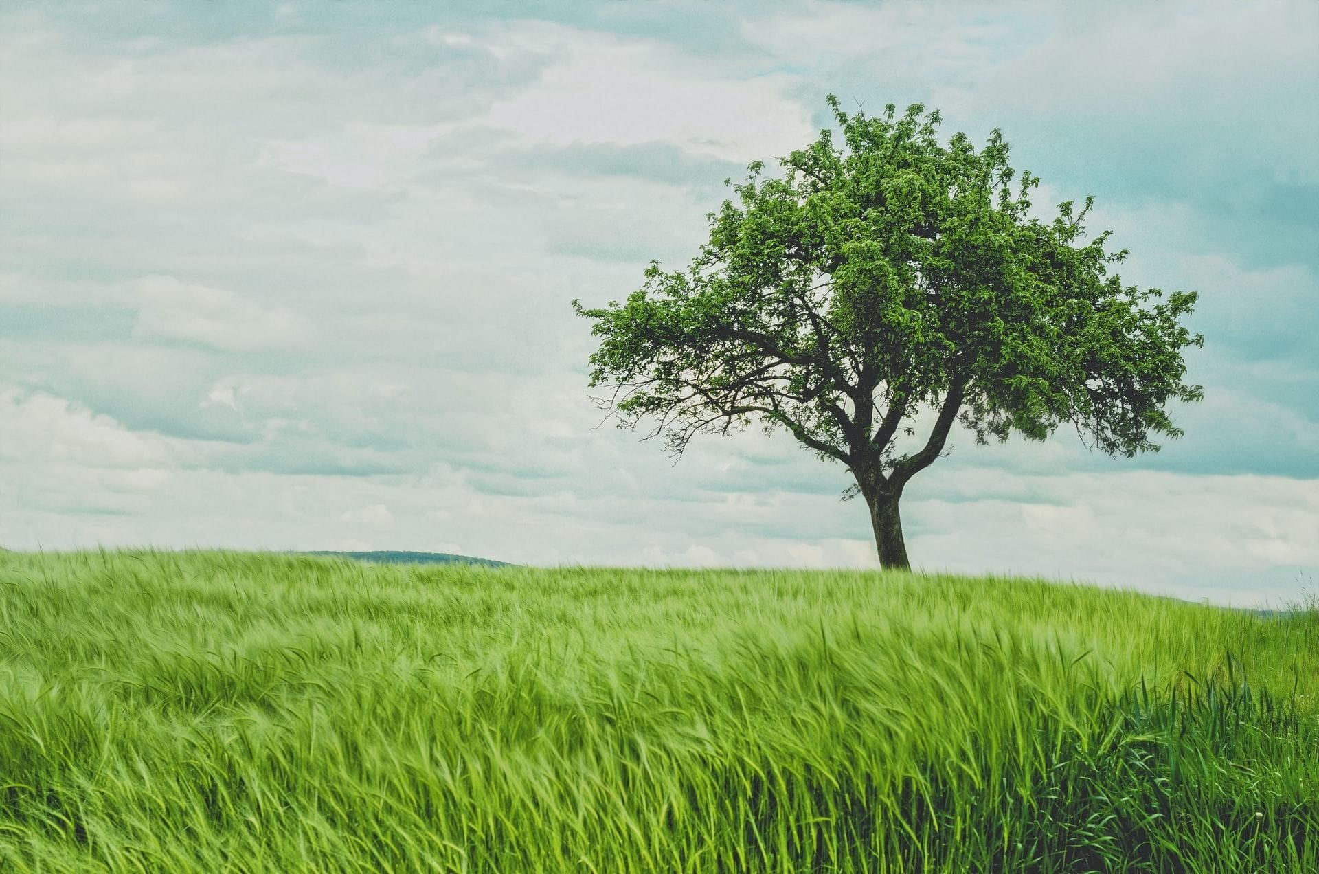 Tips to Improve Your Landscape Photography
