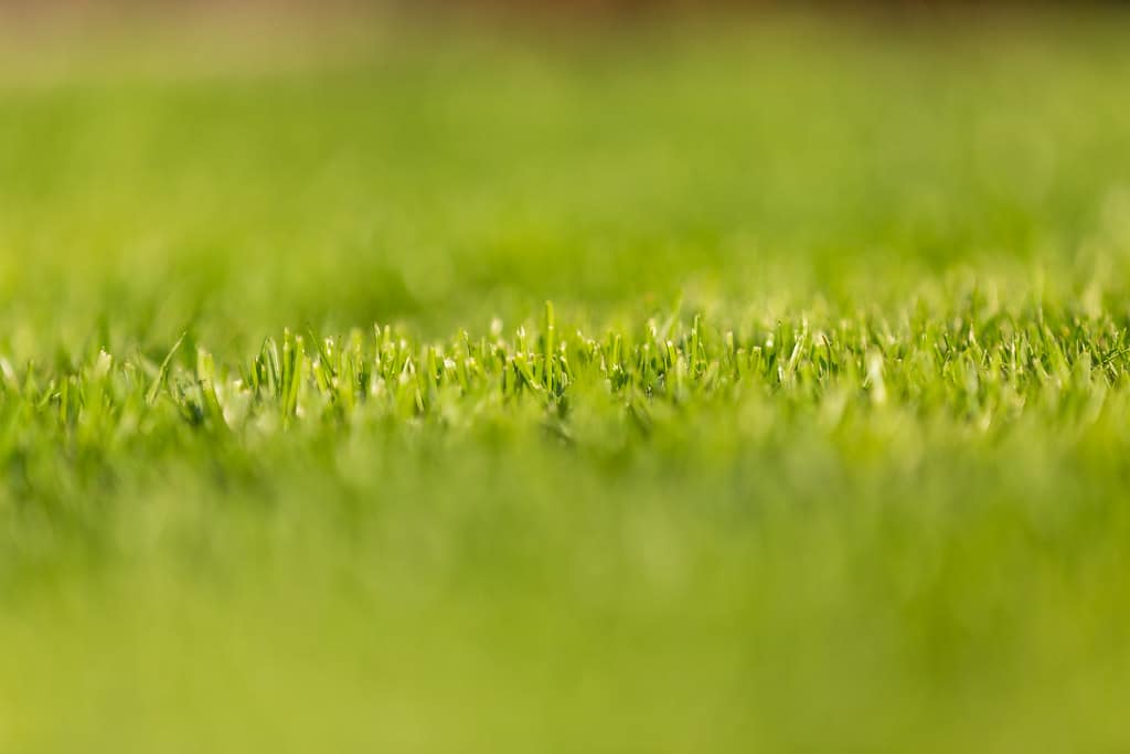 Panasonic G9 landscape photography - depth of field