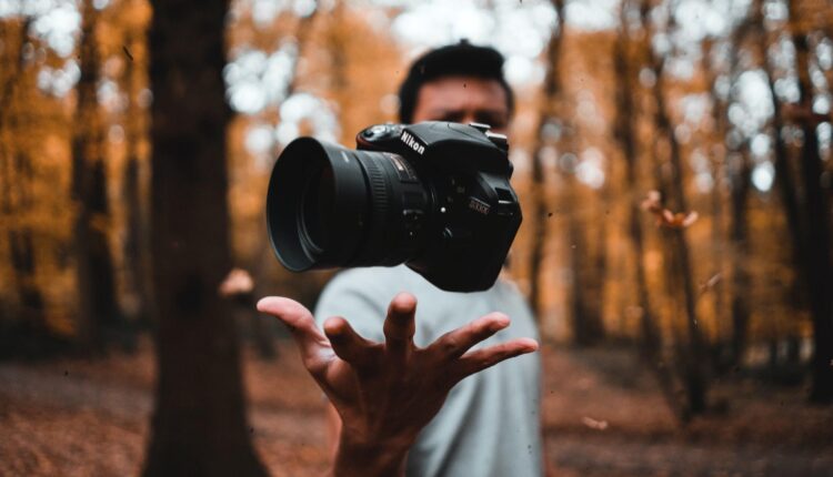 What is Bird Photography - Introduction