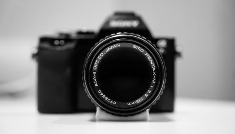 Sony A7iii Camera Review – Decide on Purchasing
