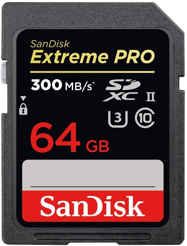 Best Sony A7iii Accessories - SanDisk Extreme Pro Flash memory Card