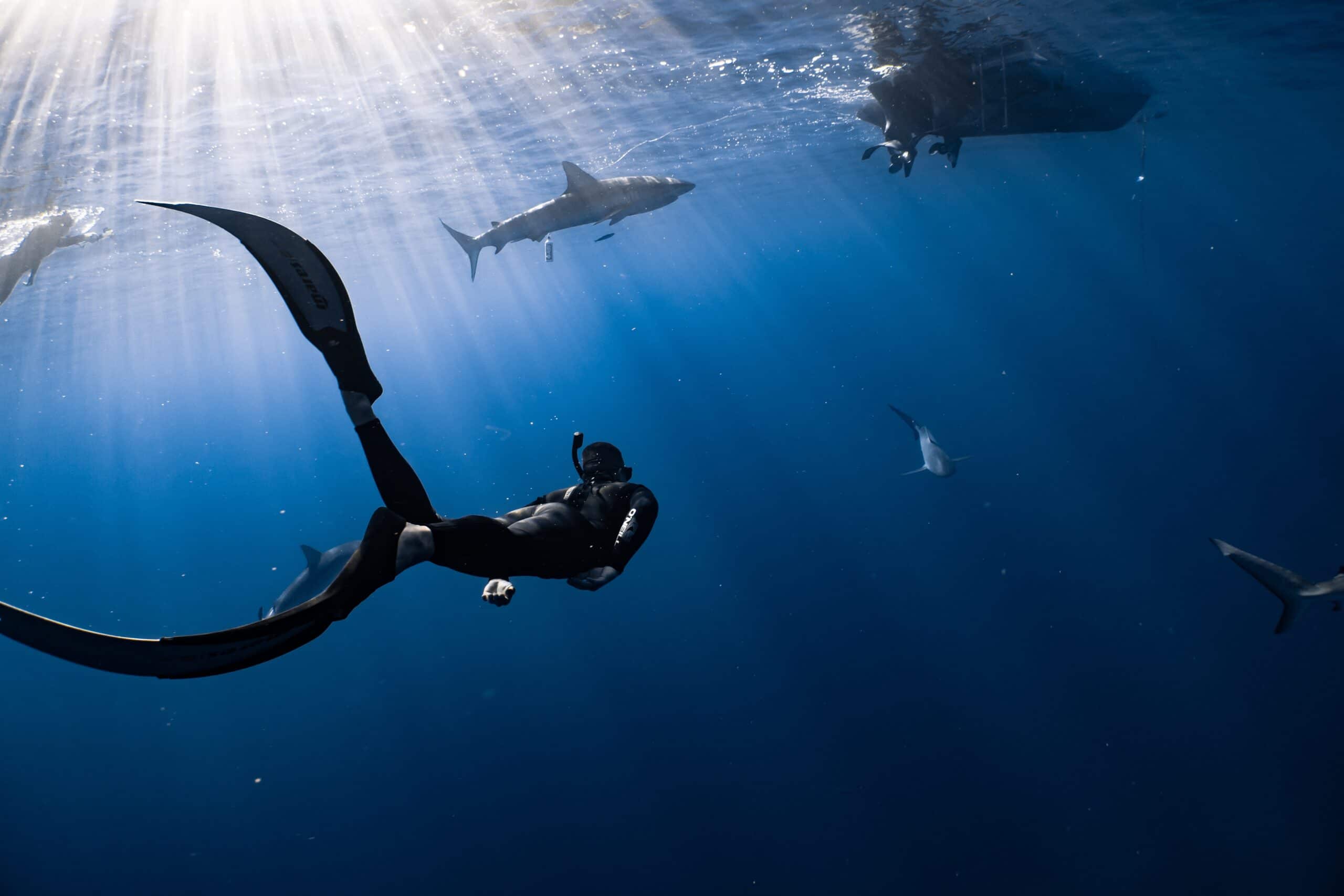 Best Aqua-Vu Underwater Camera