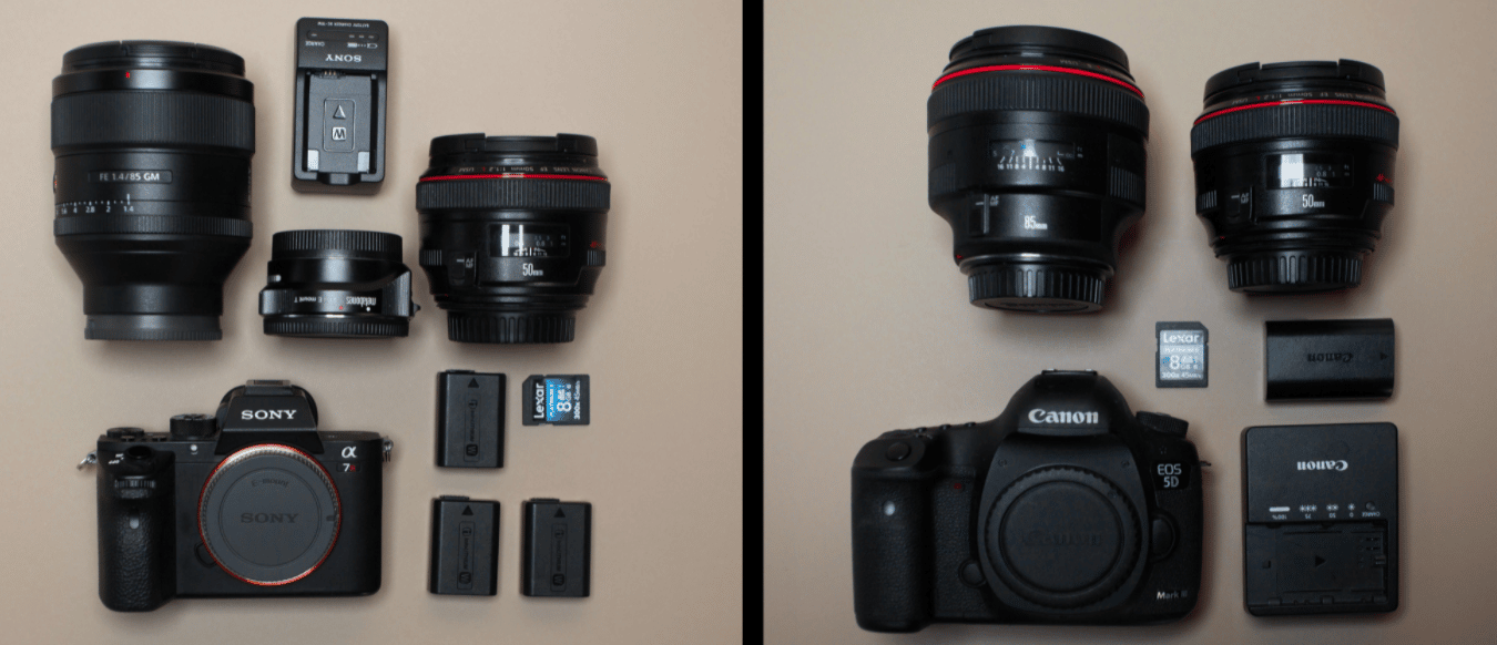 Canon Vs Sony Camera
