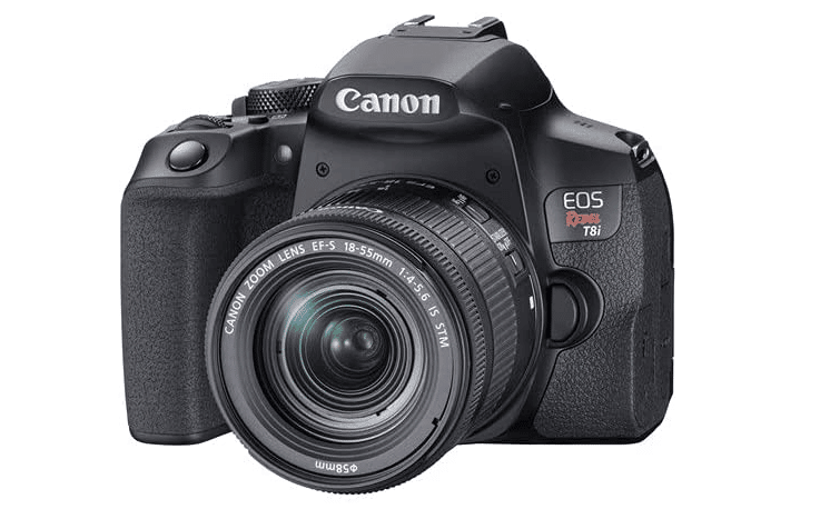 Best Canon Camera for Beginners